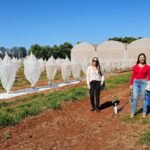 CEP - Braskem Visita Centro de Citricultura Sylvio Moreira - fotos 2